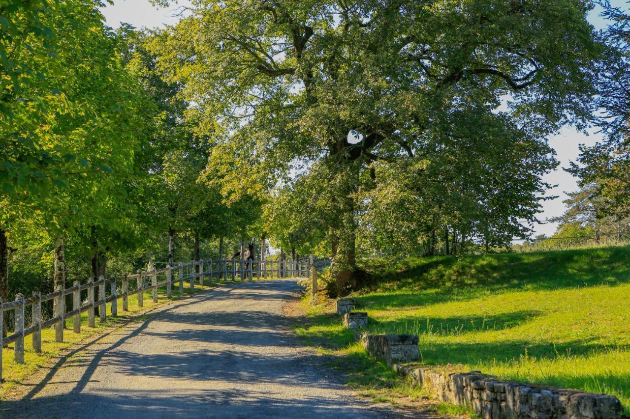 Logis Hotels Domaine Du Chatelard Dirac Buitenkant foto